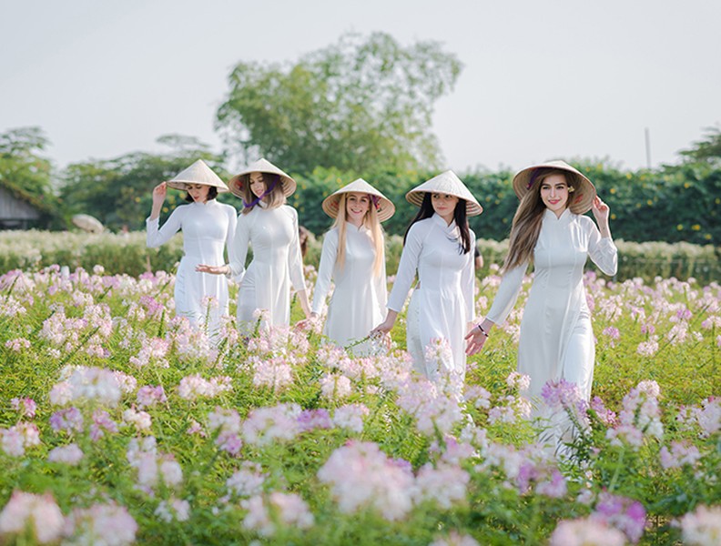 Ngắm những thiếu nữ nước ngoài thướt tha với tà áo dài Việt Nam bên cúc họa mi